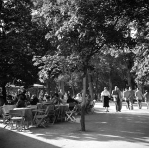 Bezoekers op een terras in het Kurpark van Bad Mergentheim, Bestanddeelnr 254-3216