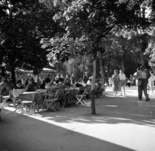 Bezoekers op een terras in het Kurpark van Bad Mergentheim, Bestanddeelnr 254-3217
