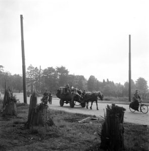 Bewoners keren terug naar de stad, Bestanddeelnr 900-4341
