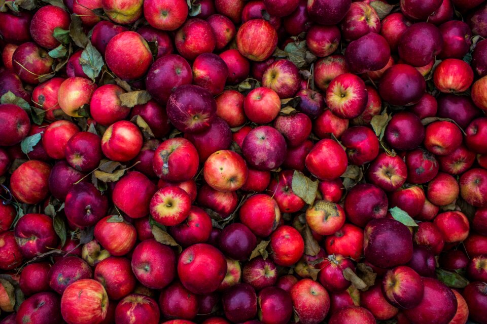 Fruits health healthy