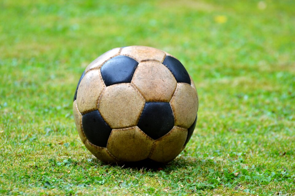Play sport ball sports