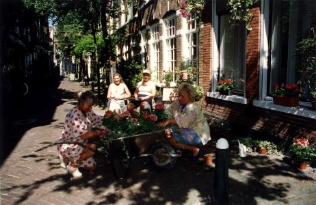 Bewoonsters van de Korte Houtstraat leggen de laatste hand aan hun geveltuintje. Aangekocht van United Photos de Boer bv. - Negatiefnummer 41475 kc 16. - Gepubliceerd in het Haarlems Dagblad van 01.07