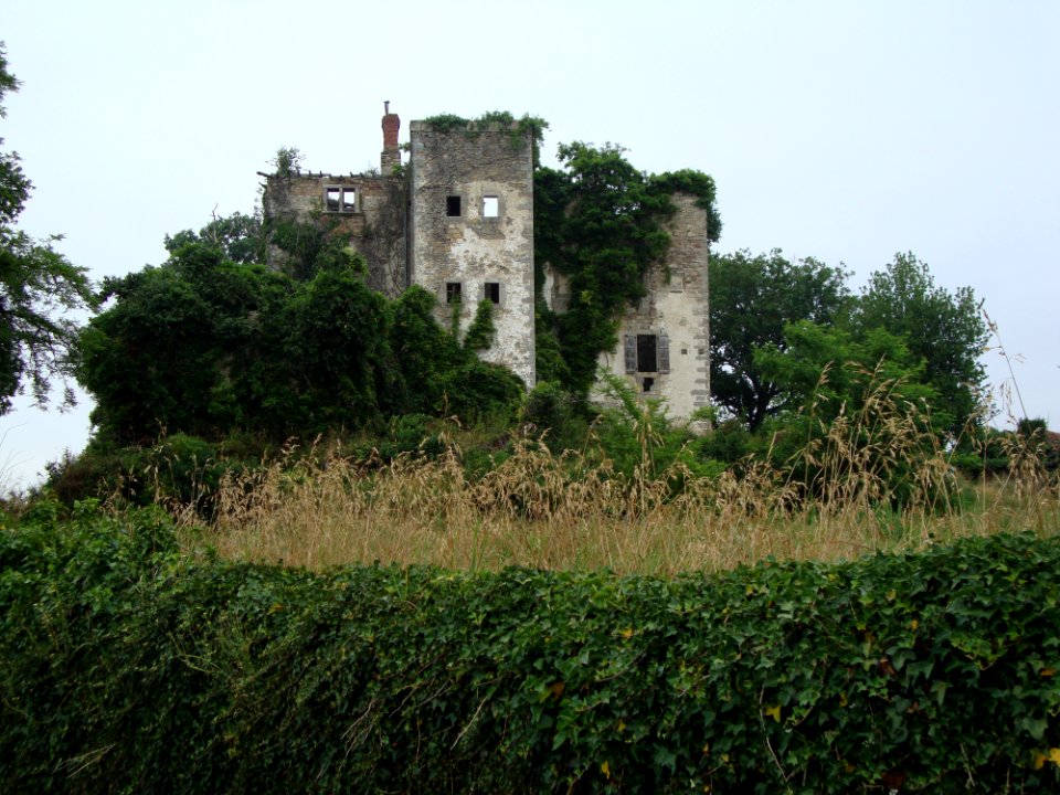 Beyrie-sur-Joyeuse (Pyr-Atl, Fr) Le château à restaurer