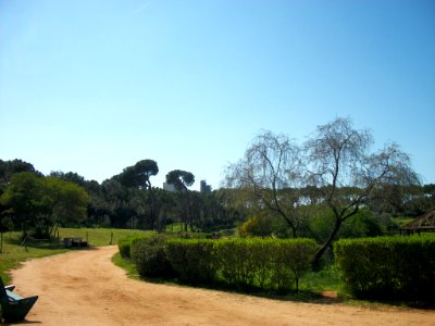 Beyrouth bois des pins 07