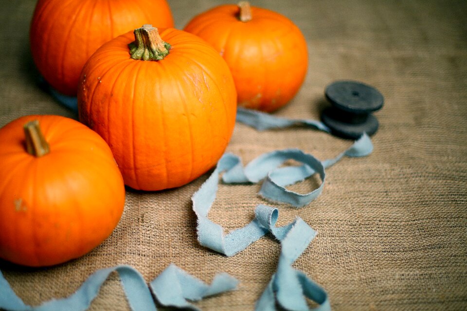 Food grow halloween