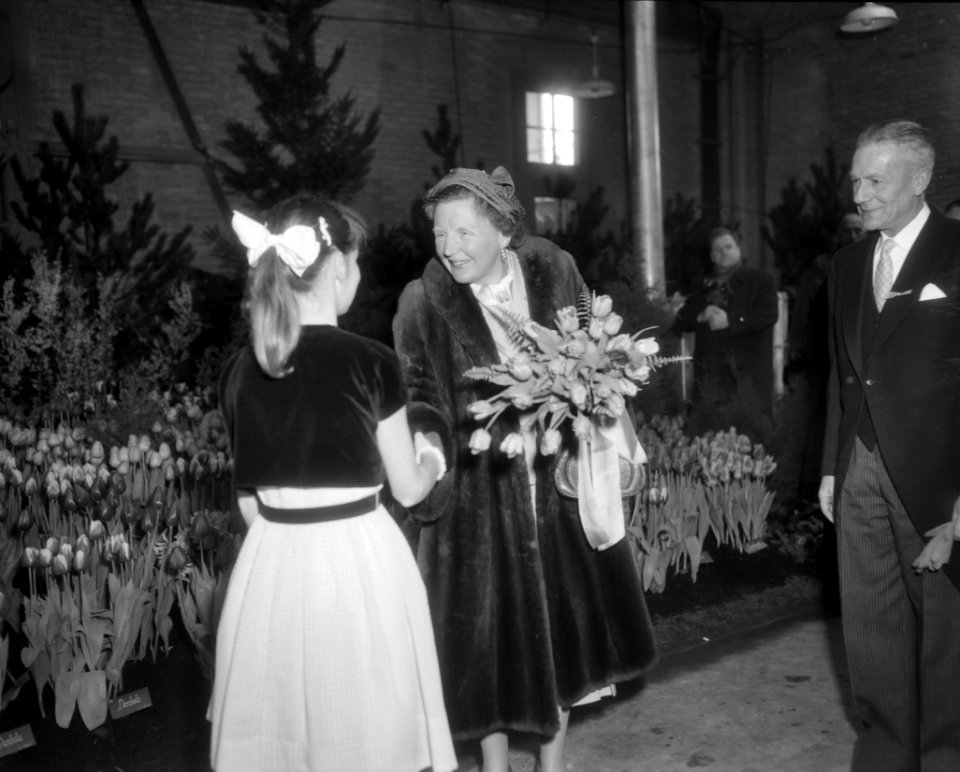 Bezoeker van koningin Juliana aan West Friesland, Bestanddeelnr 909-3517