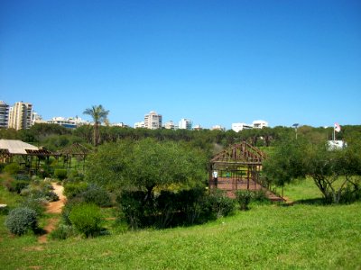 Beyrouth bois des pins 08