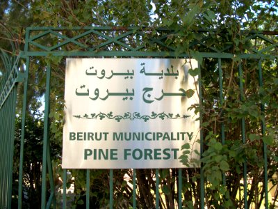 Beyrouth bois des pins 05