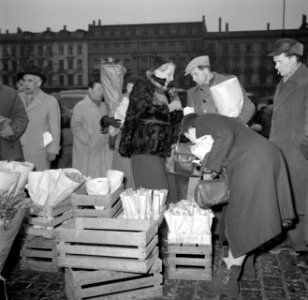 Bezoekers bekijken de koopwaar op de bloemenmarkt in Kopenhagen, Bestanddeelnr 252-8833