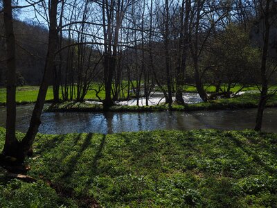 Bach idyllic meadow