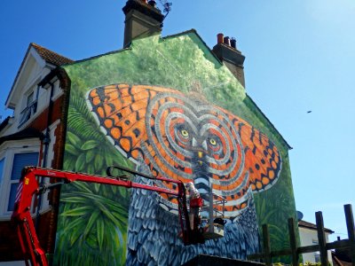 Bexhill Butterfly Mural, 29 Wickham Avenue, Bexhill