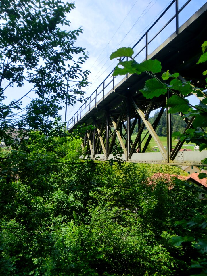 Bridge structures tree