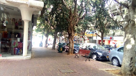 Bialik-street-october-24-2015