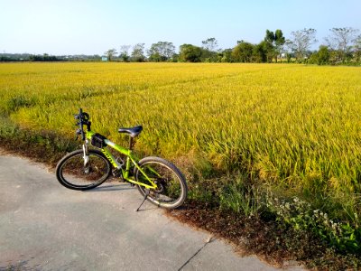 Bicycle in Kaiping