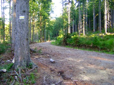 Bialski Dukt. mit