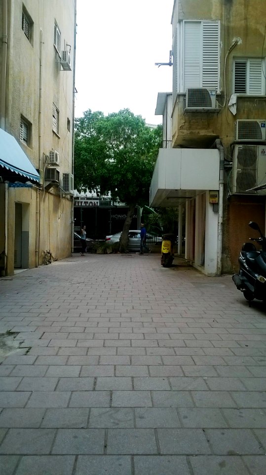Bialik-street-ramat-gan-2015