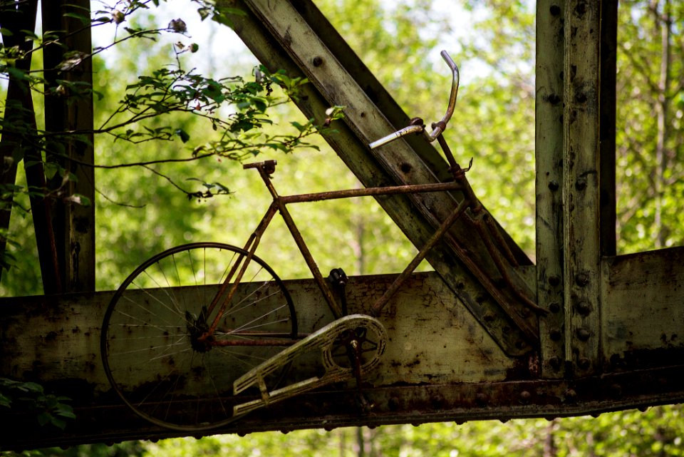 Bicycle Bridge (80180429)
