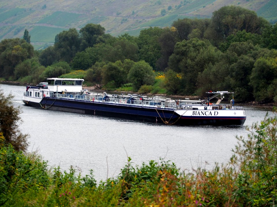 Bianca D, ENI 04808660 at the Moselle river