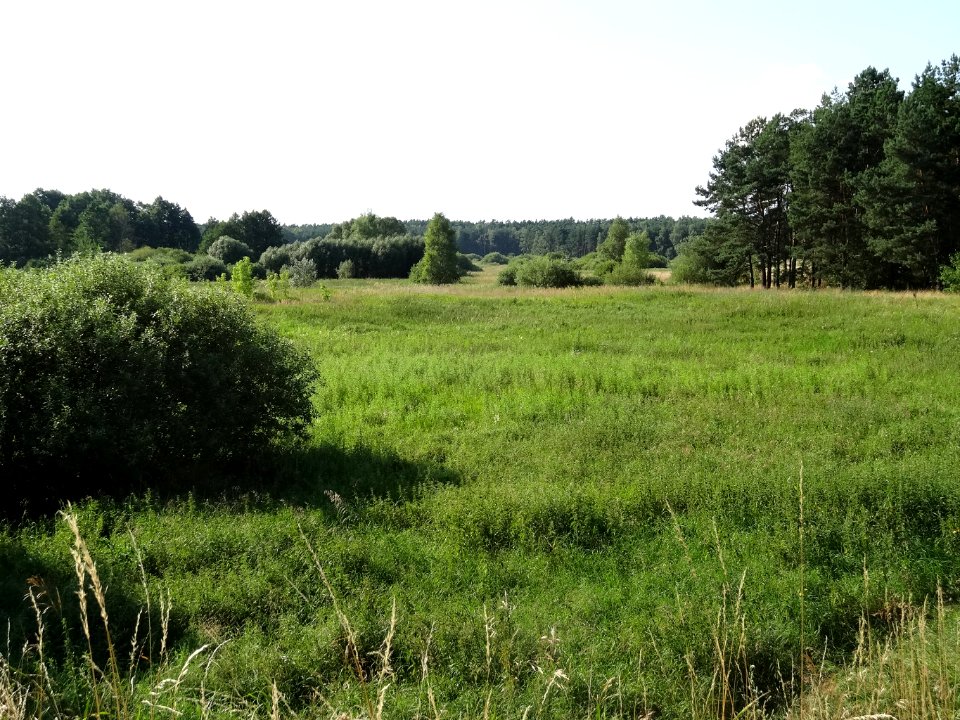 Biale Blota laka 2 07-2014