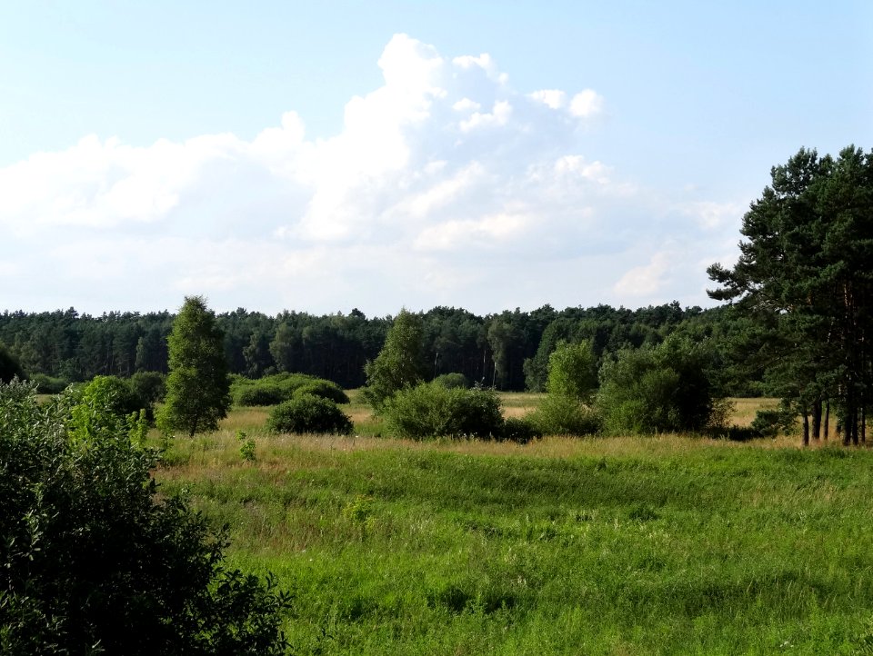 Biale Blota laka 1 07-2014