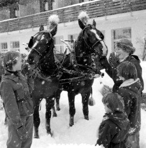 Bezoek Koninklijk gezin aan Grindelwald, Prinsessen met paarden voor arreslede, Bestanddeelnr 906-2192