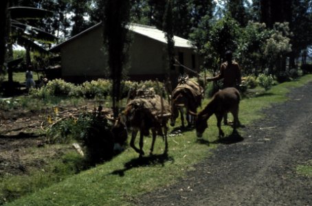 Bezoek Koningin Juliana , Pr. Bernhard , Pr. Beatrix Pr. Claus aan Ethiopie HVA, Bestanddeelnr 254-8323