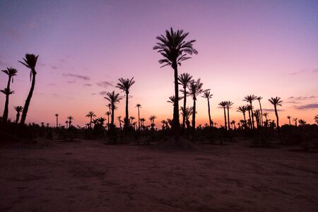 Desert sand morocco photo