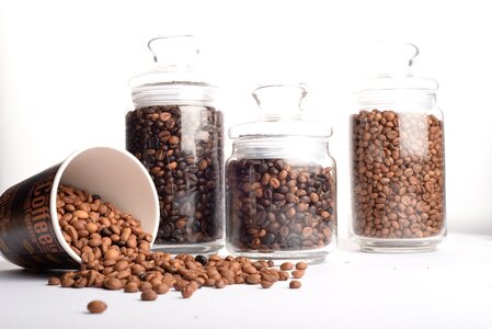 Coffee beans cup food photo
