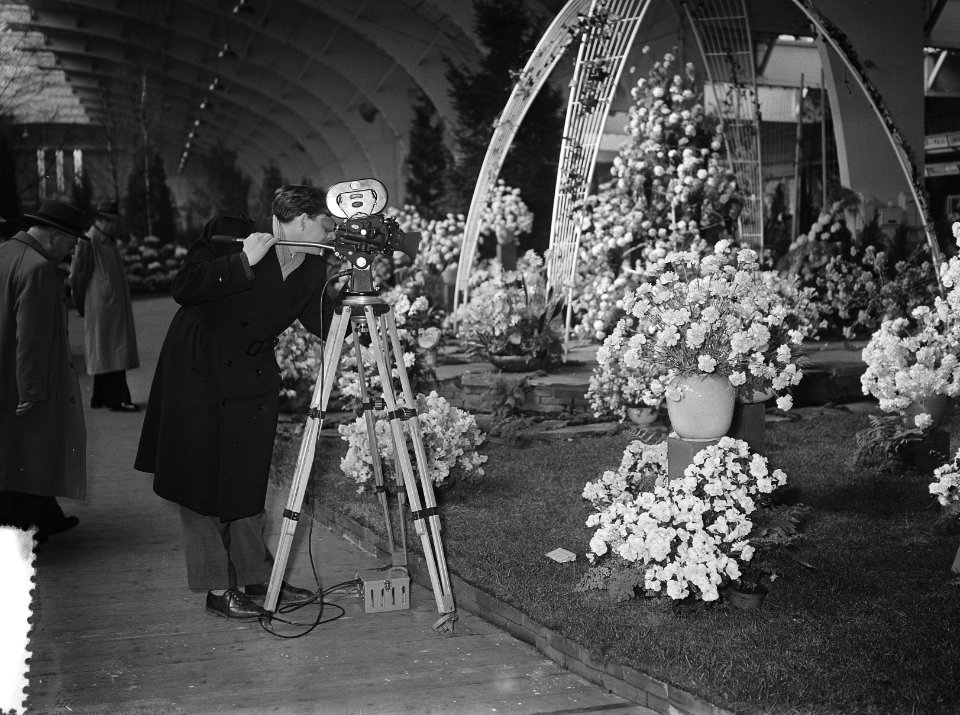 Bezoek koningin Juliana aan de Amstelflora in de RAI, Bestanddeelnr 906-3572
