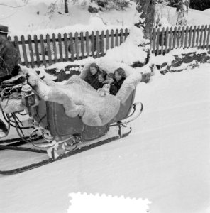 Bezoek Koninklijk gezin aan Grindelwald, vier Prinsessen arreslede, Bestanddeelnr 906-2181