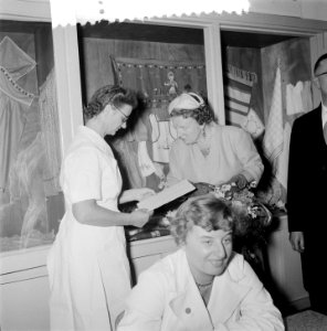 Bezoek koningin Juliana aan Delft bij de Van de Wouden Stichting, Bestanddeelnr 907-3519