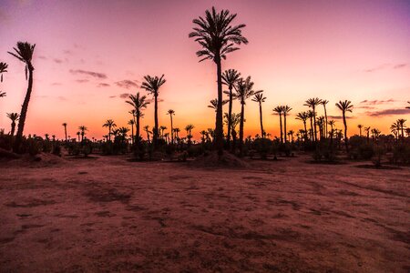 Desert sand morocco photo
