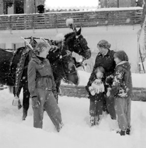 Bezoek Koninklijk gezin aan Grindelwald, Prinsessen met paarden voor arreslede, Bestanddeelnr 906-2191