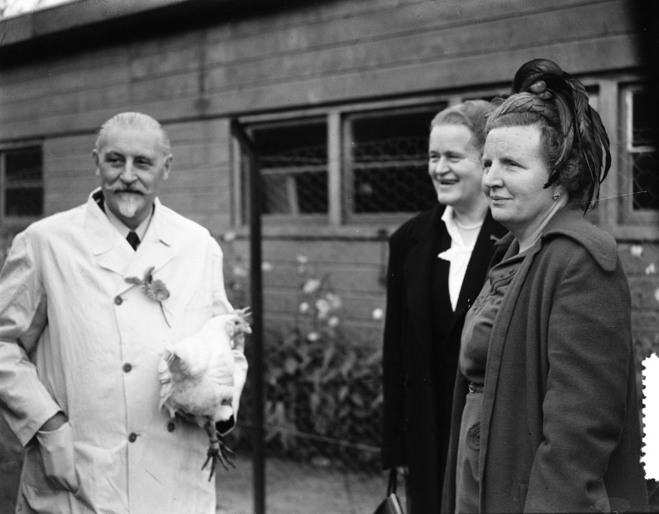 Bezoek van koningin Juliana aan de huishoudschool in Deventer, Bestanddeelnr 904-8149