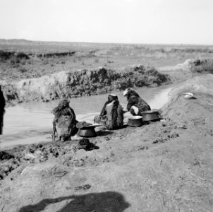 Bevolking, beekjes, Bestanddeelnr 250-8630
