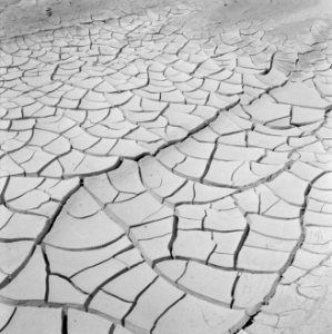 Bevloeiingswerken in Galilea Door droogte gebarsten aarde, Bestanddeelnr 255-4808