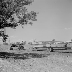 Bevloeiingswerken in Galilea Een man op een tractor met sproeiwagen, Bestanddeelnr 255-4809