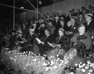 Bezoek van Beatrix, Juliana, Bernhard en Irene aan Taptoe Delft, Bestanddeelnr 908-9051