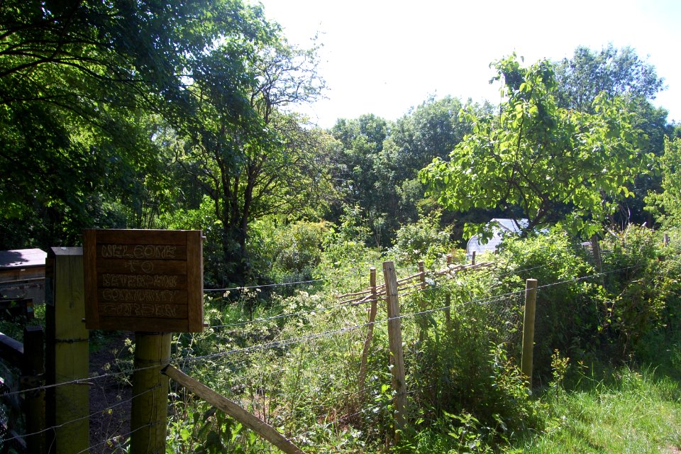 Bevendean Down (Local Nature Reserve), Bevendean (May 2020) (2)