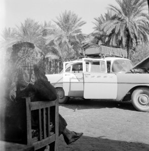 Bevolking, auto's, palmbomen, Bestanddeelnr 250-8538