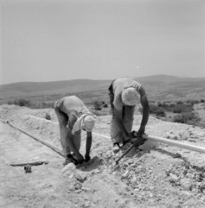 Bevloeiingswerken bij de kibboets Hakuk bij het Meer van Tiberias Arbeiders bez, Bestanddeelnr 255-4801
