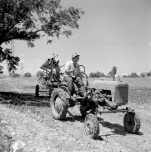 Bevloeiingswerken in Galilea Een man op een tractor met sproeiwagen, Bestanddeelnr 255-4810