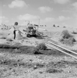 Bevloeiingswerken in Galilea Arbeider op een graafmachine bij de aanleg van een, Bestanddeelnr 255-4805