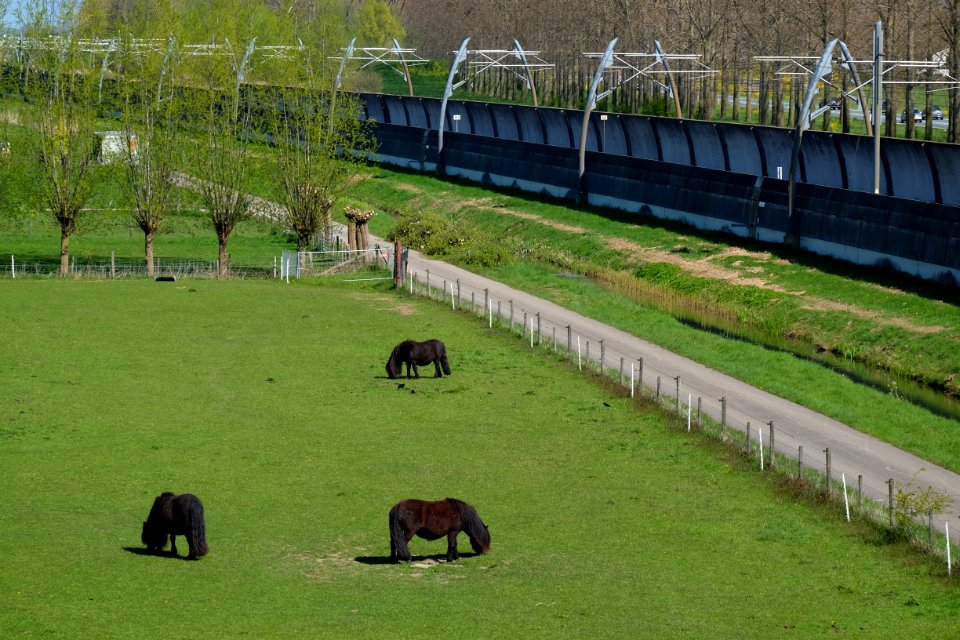 Betuweroute in Bemmel