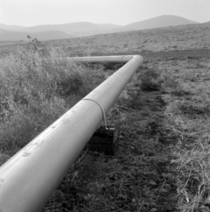 Bevloeiingswerken in Galilea Pijpleiding voor de sproeiinstallaties, Bestanddeelnr 255-4817