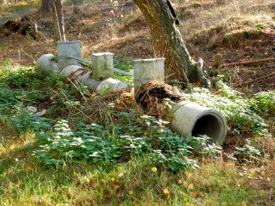 Betonrohrfalle im Wald