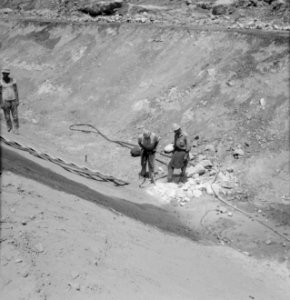 Bevloeiingswerken bij de kibboets Hakuk bij het Meer van Tiberias Arbeiders bez, Bestanddeelnr 255-4794