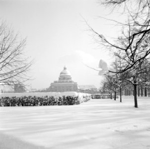 Besneeuwde Hofgarten met op de achtergrond de Bayerische Staatskanzlei, Bestanddeelnr 254-3757
