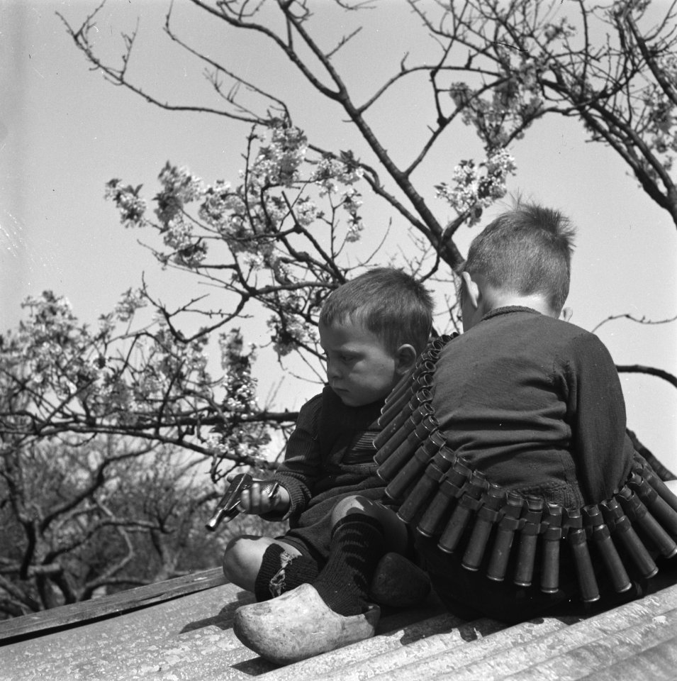 Betuwe in bloei, Bestanddeelnr 901-7066