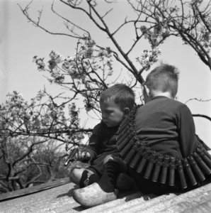 Betuwe in bloei, Bestanddeelnr 901-7066